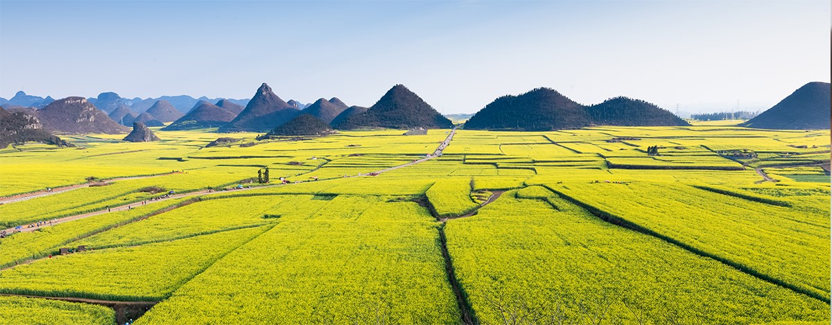 0df6a74022.jpg 切片_03.jpg