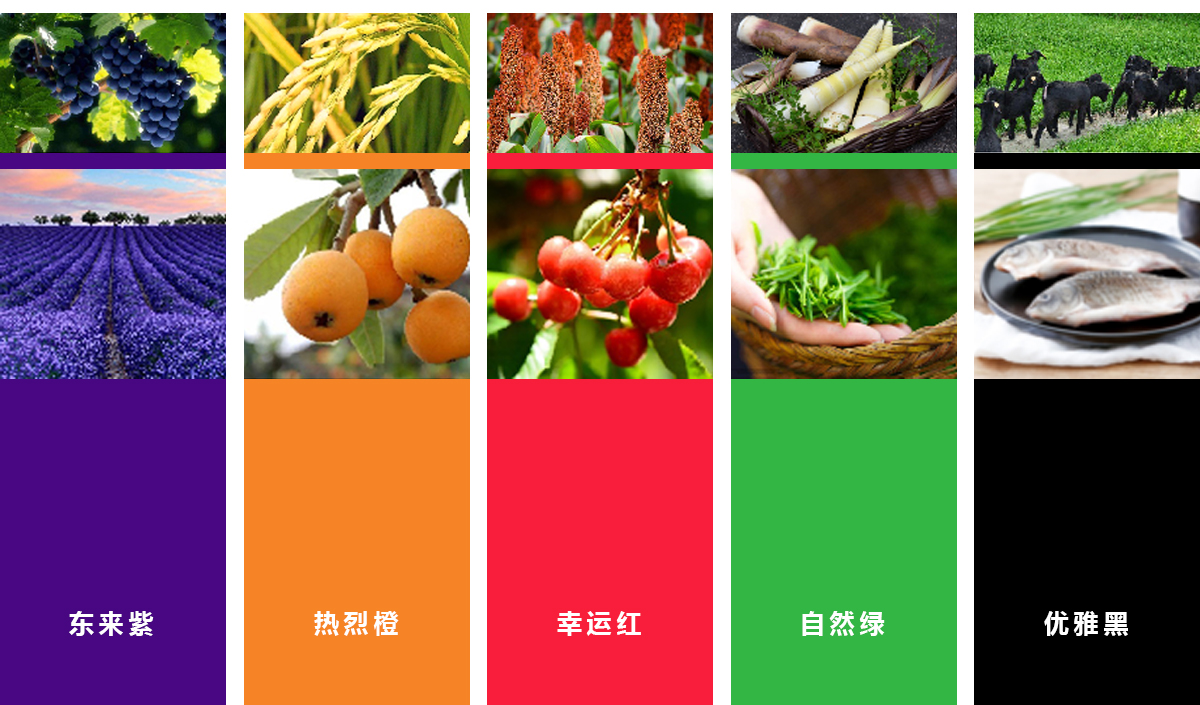 e3f1faa003.jpg 切片_05.jpg